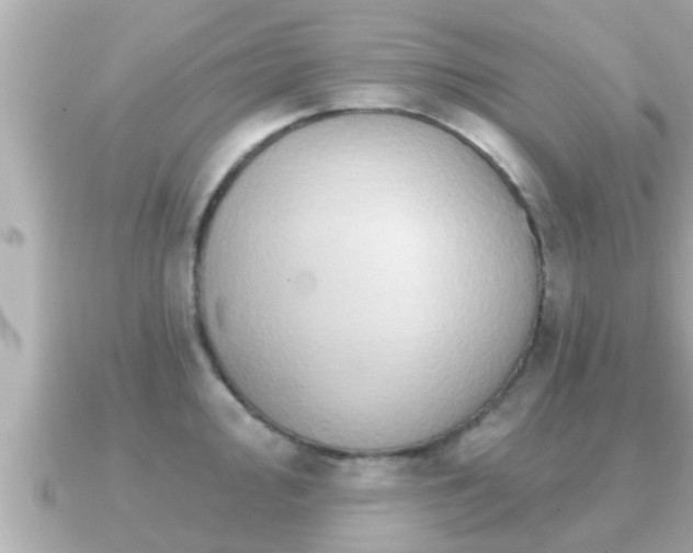 X0000090951000200708091325