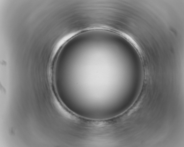 X0000090951003200708091325