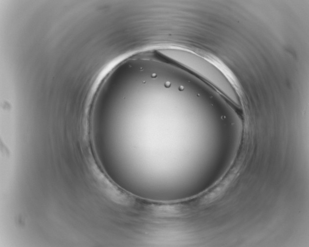 X0000090951004200708091325