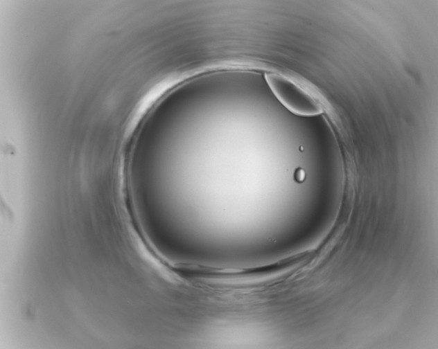 X0000090951006200708091325