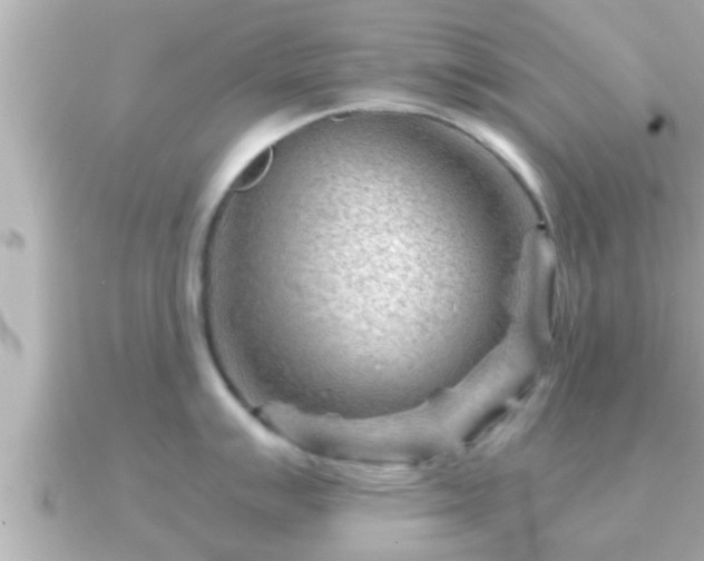X0000090951007200708091325