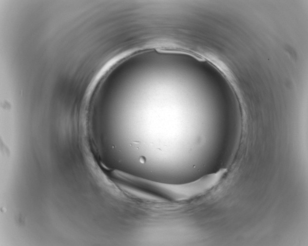 X0000090951008200708091325