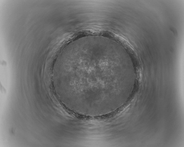 X0000090951009200708091324