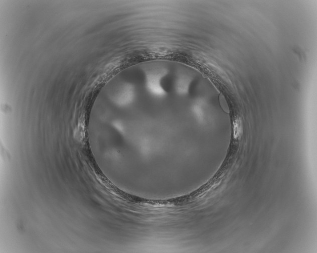 X0000090951011200708091324