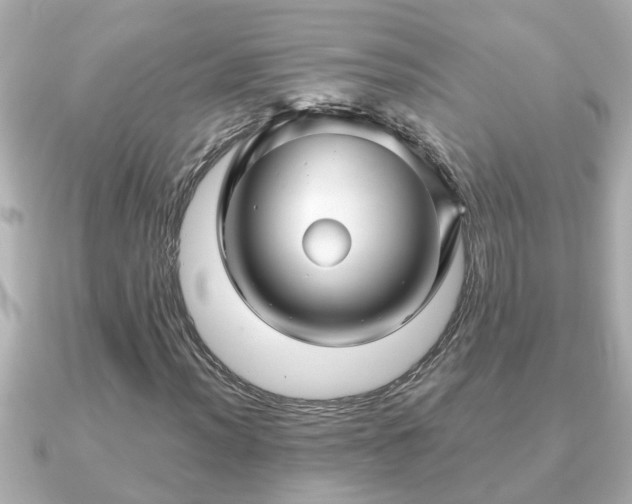 X0000090951012200708091324