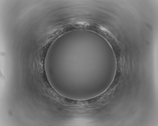X0000090951013200708091324