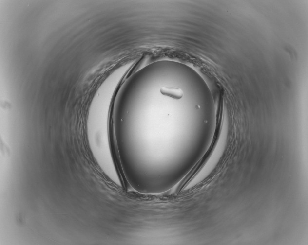 X0000090951014200708091324
