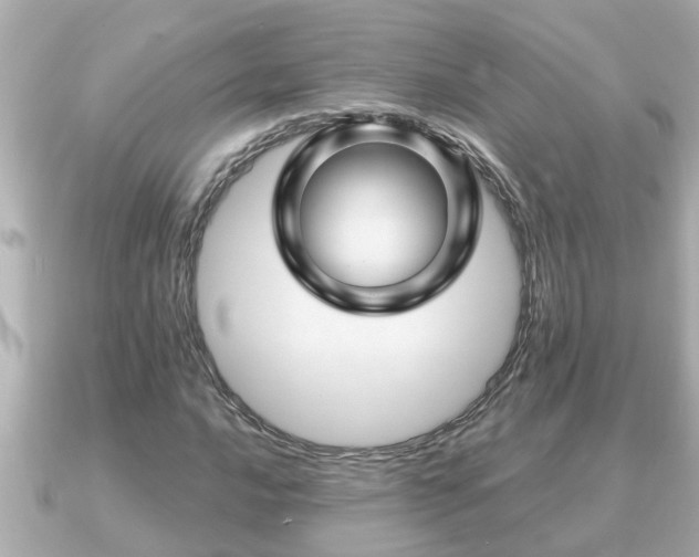 X0000090951016200708091324