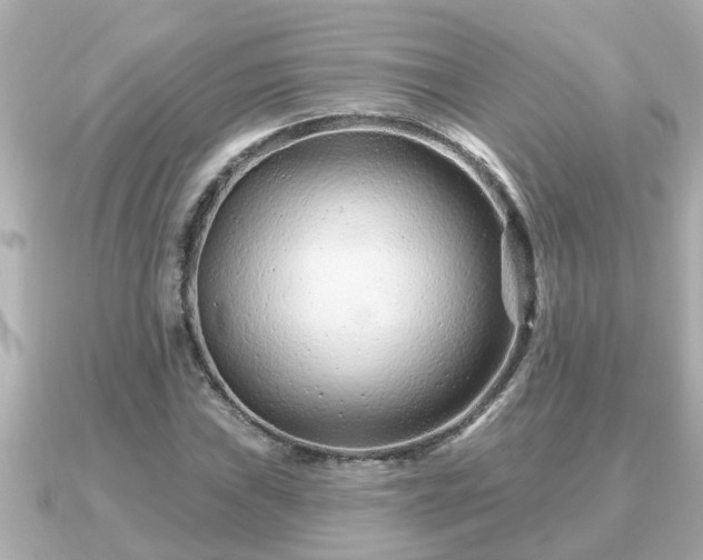 X0000090951019200708091324