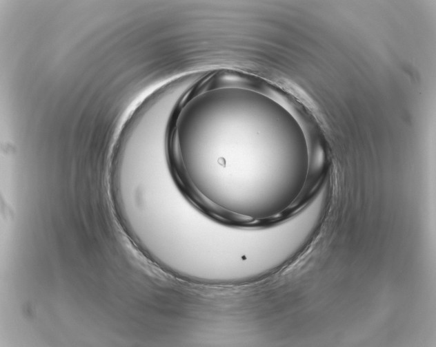 X0000090951020200708091324
