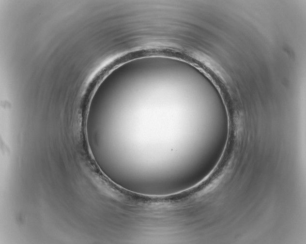 X0000090951021200708091324