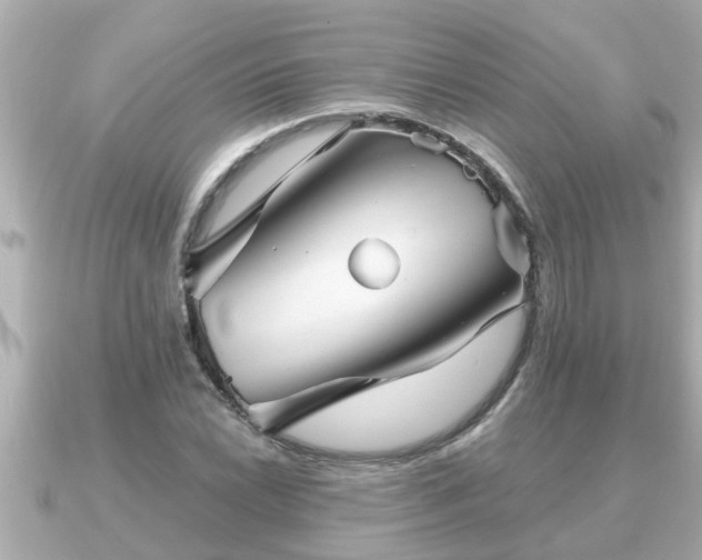 X0000090951022200708091324