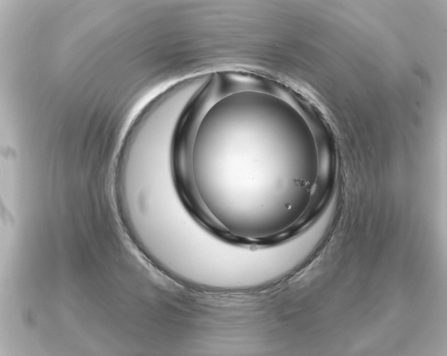 X0000090951024200708091324