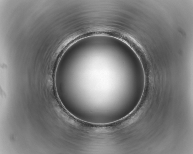 X0000090951025200708091324