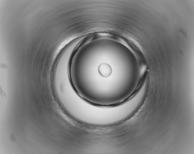 X0000090951026200708091324