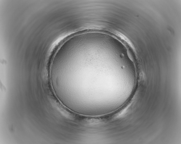 X0000090951027200708091324