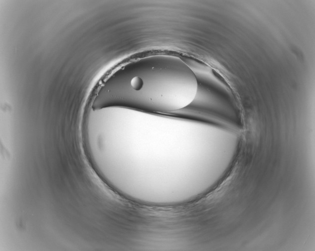X0000090951028200708091324