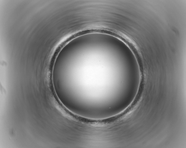 X0000090951029200708091324