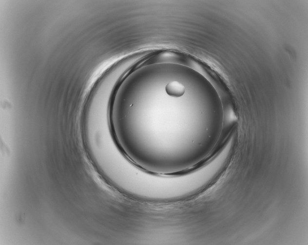 X0000090951030200708091324