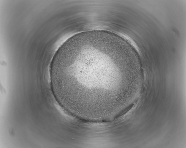 X0000090951031200708091324