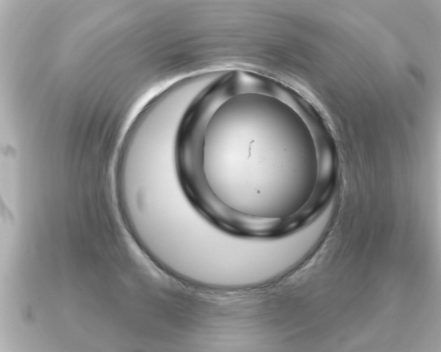 X0000090951032200708091324