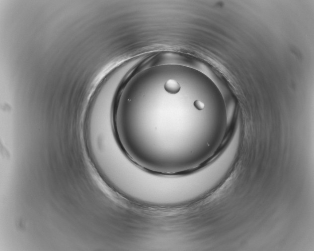 X0000090951034200708091324