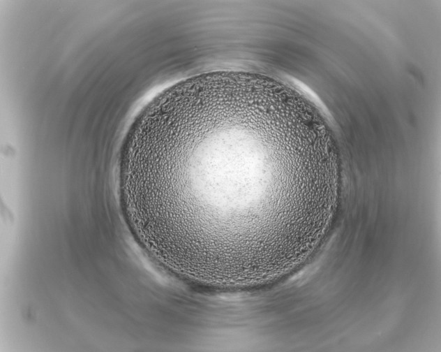 X0000090951035200708091324