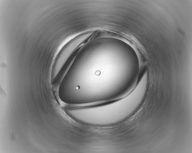 X0000090951036200708091324