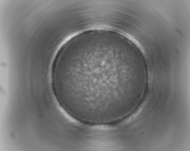 X0000090951037200708091324