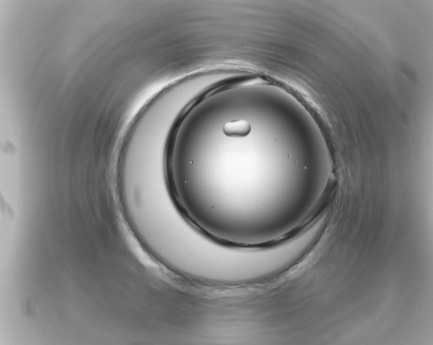 X0000090951038200708091325