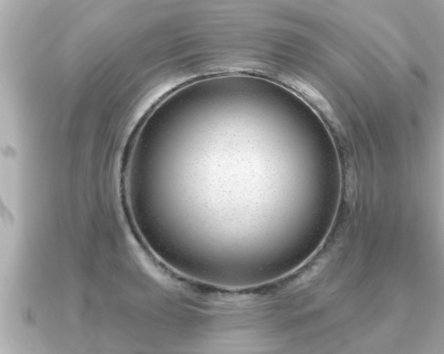 X0000090951039200708091325