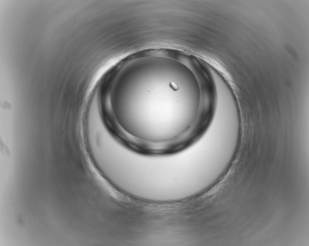 X0000090951040200708091325
