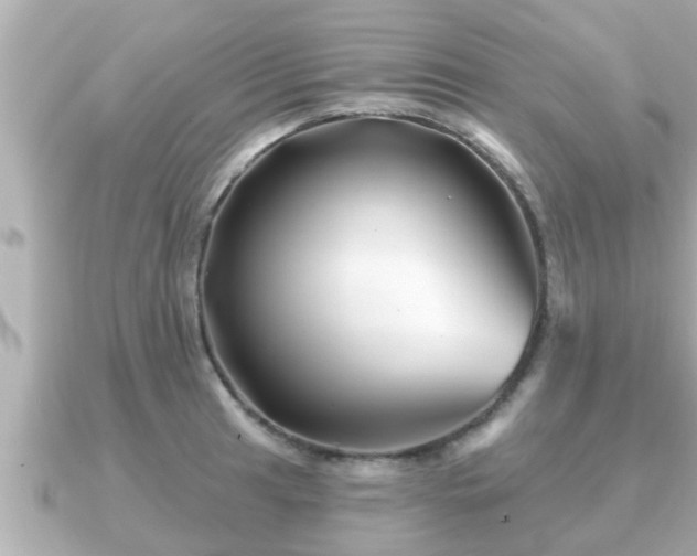 X0000090951041200708091325