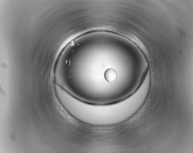 X0000090951044200708091325