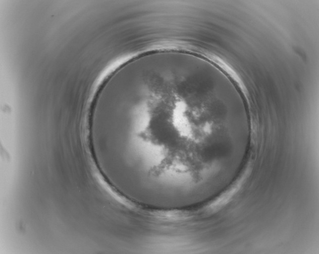 X0000090951045200708091325