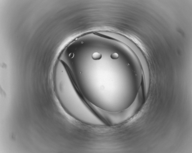 X0000090951046200708091325