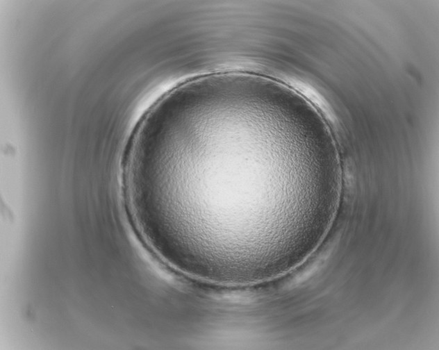 X0000090951047200708091325