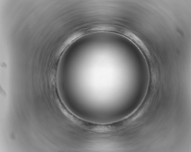 X0000090951049200708091325