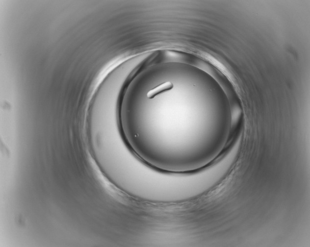 X0000090951050200708091325