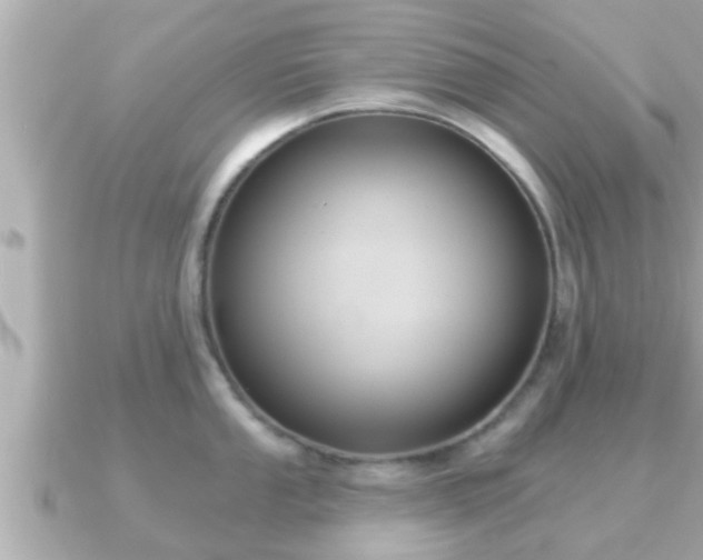 X0000090951053200708091325
