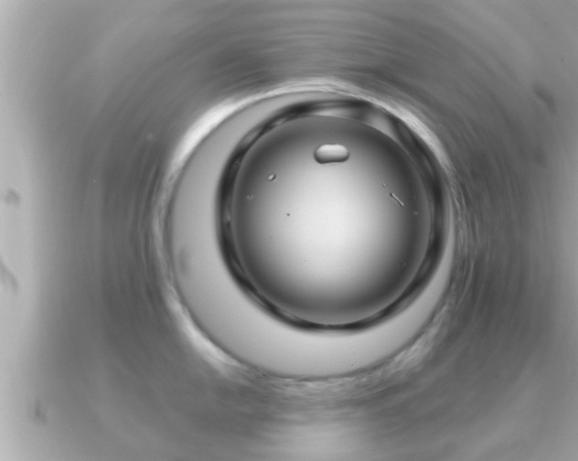 X0000090951054200708091325