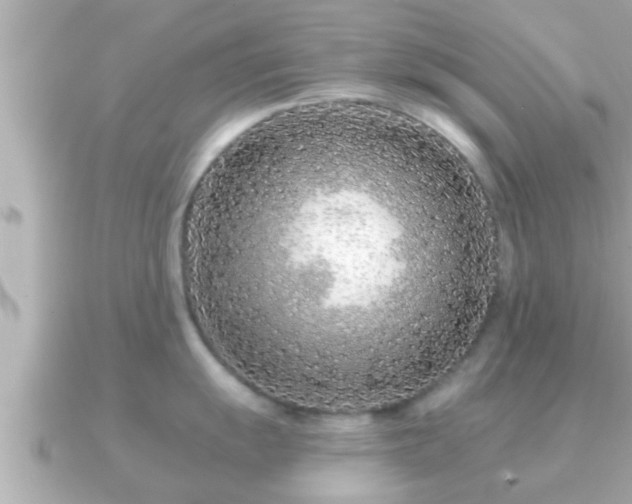 X0000090951055200708091325