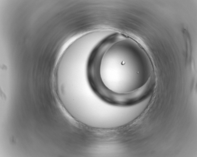 X0000090951056200708091325