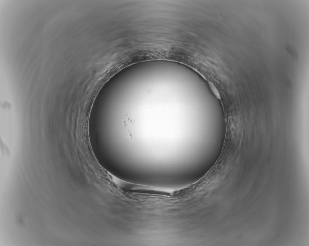 X0000090951057200708091324