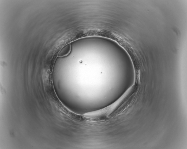 X0000090951059200708091324