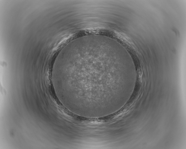X0000090951060200708091324