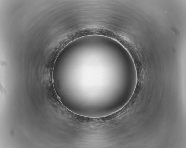 X0000090951062200708091324