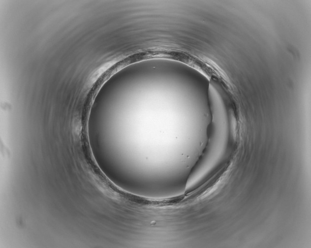 X0000090951065200708091324