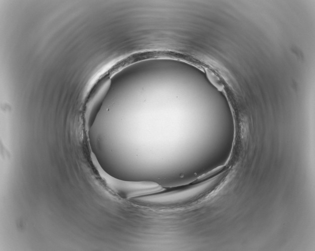 X0000090951069200708091324