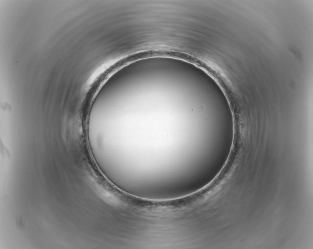 X0000090951070200708091324